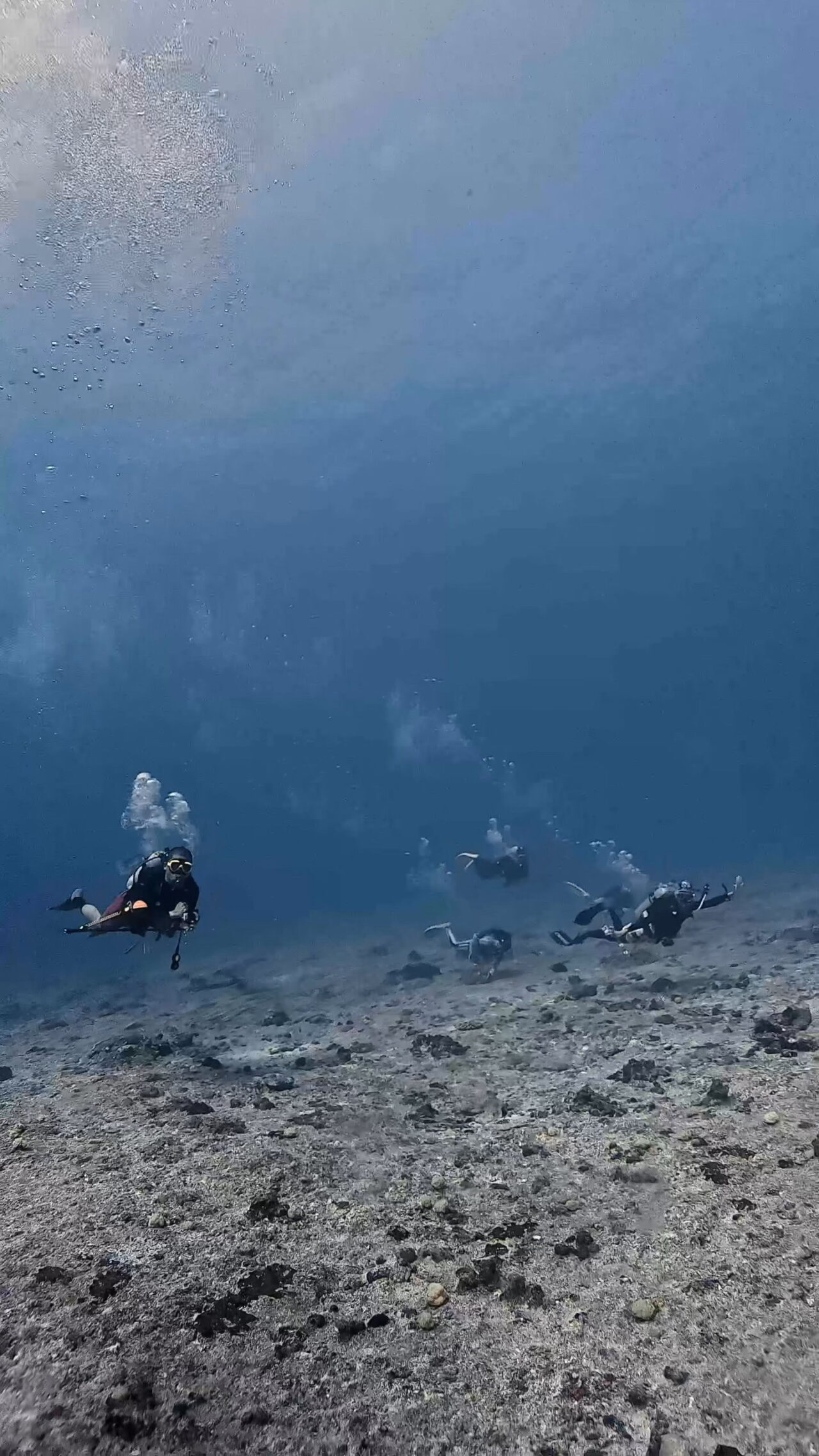 ロウニンアジの群れの中に入るには己のフィンキック ペリリューコーナー ペリリューカット ペリリューエキスプレス パラオ ペリリュー島のダイビングショップ|OMZオムズ