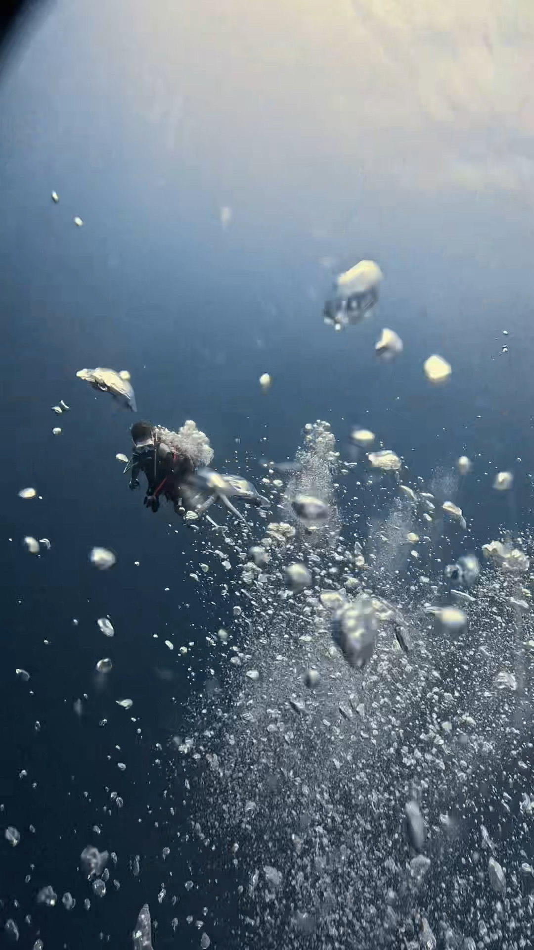 ぶん流れの時は、裏からも攻める ペリリューコーナー ペリリューカット ペリリューエキスプレス パラオ ペリリュー島のダイビングショップ|OMZオムズ