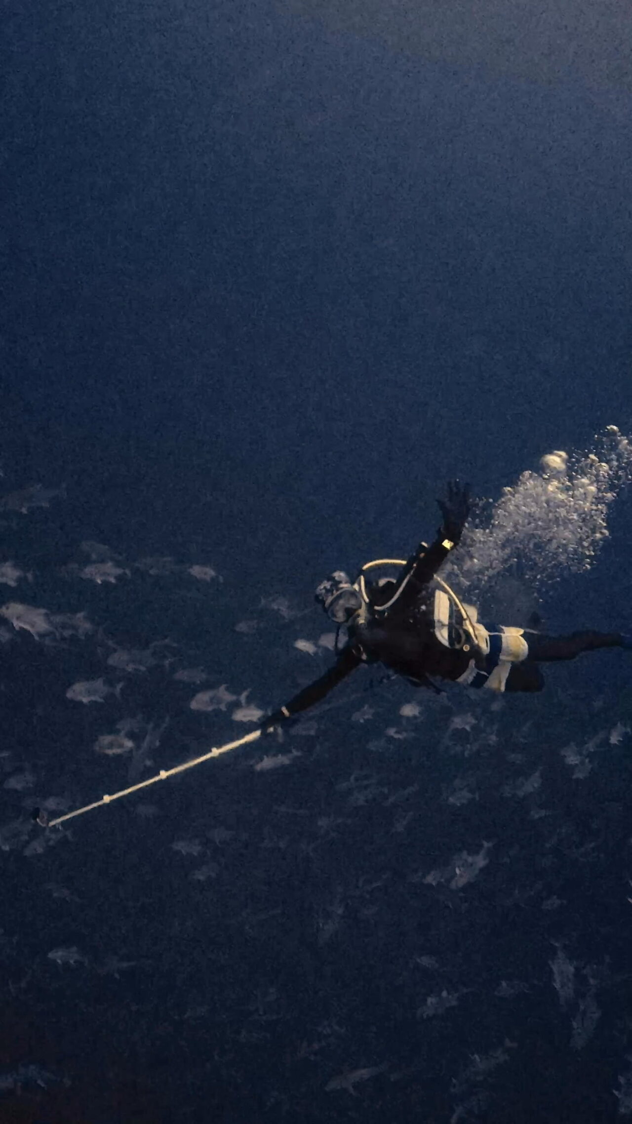 真正面からGO！！！！ ペリリューコーナー ペリリューカット ペリリューエキスプレス パラオ ペリリュー島のダイビングショップ｜OMZオムズ