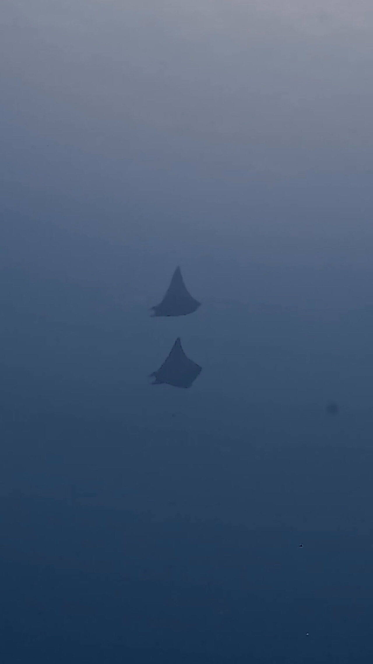 真正面からGO！！！！ ペリリューコーナー ペリリューカット ペリリューエキスプレス パラオ ペリリュー島のダイビングショップ｜OMZオムズ