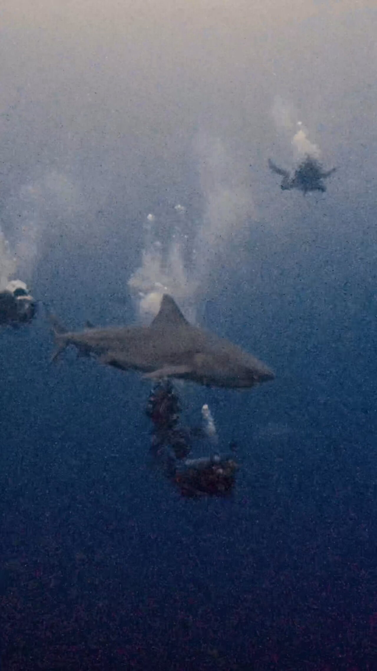 ペリリュー好きすぎて滅 ペリリューコーナー ペリリューカット ペリリューエキスプレス パラオ ペリリュー島のダイビングショップ｜OMZオムズ