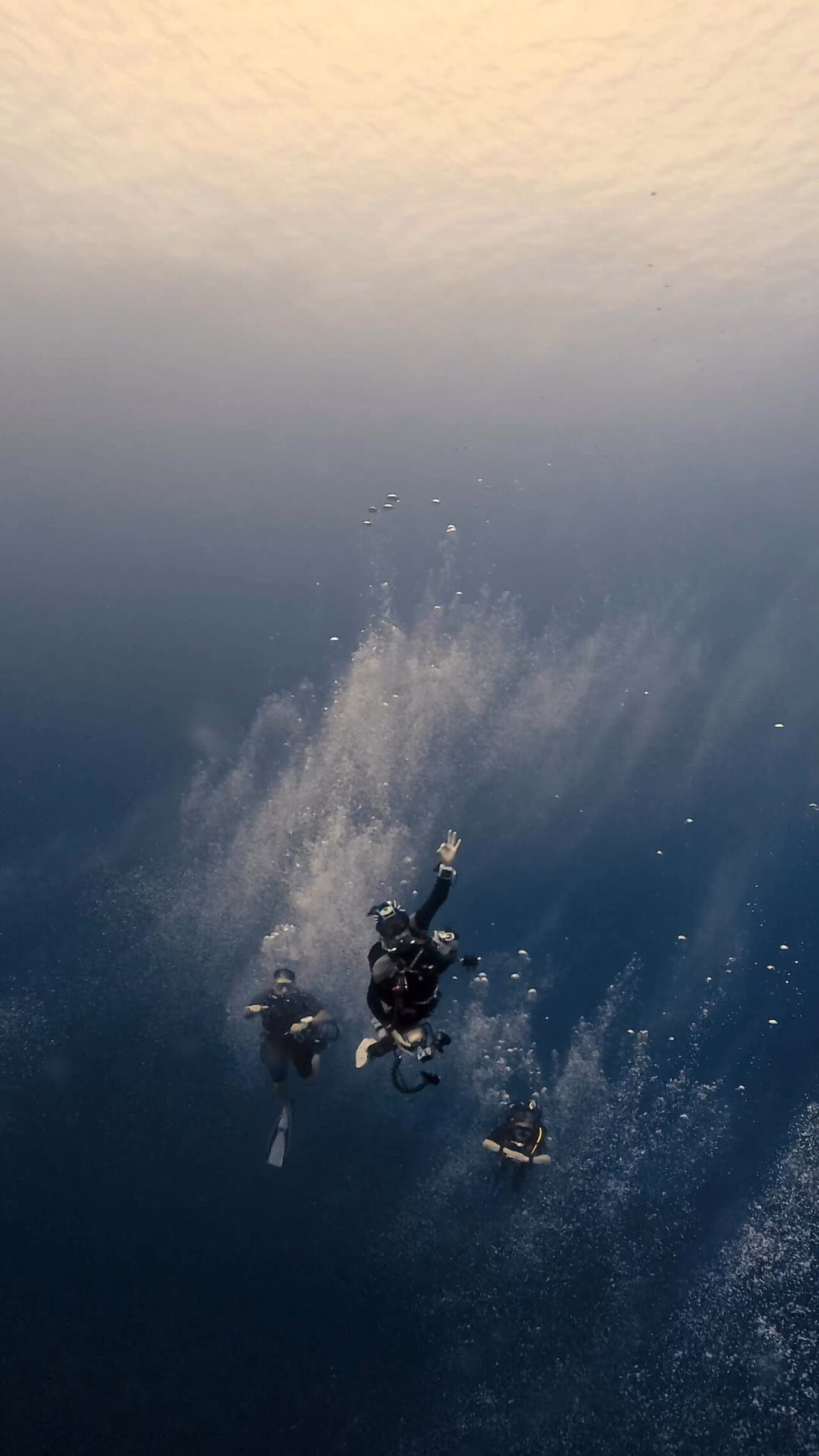 アクションダイビング ペリリューコーナー ペリリューカット ペリリューエキスプレス パラオ ペリリュー島のダイビングショップ｜OMZオムズ