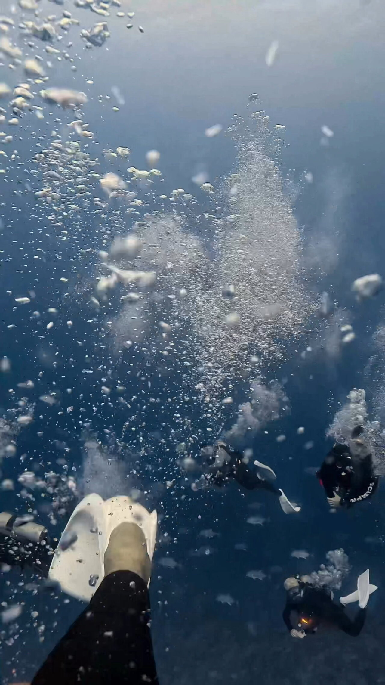 Extremely strong downcurrent 超激流ダウンカレント ペリリューコーナー ペリリューカット ペリリューエキスプレス パラオ ペリリュー島のダイビングショップ｜OMZオムズ