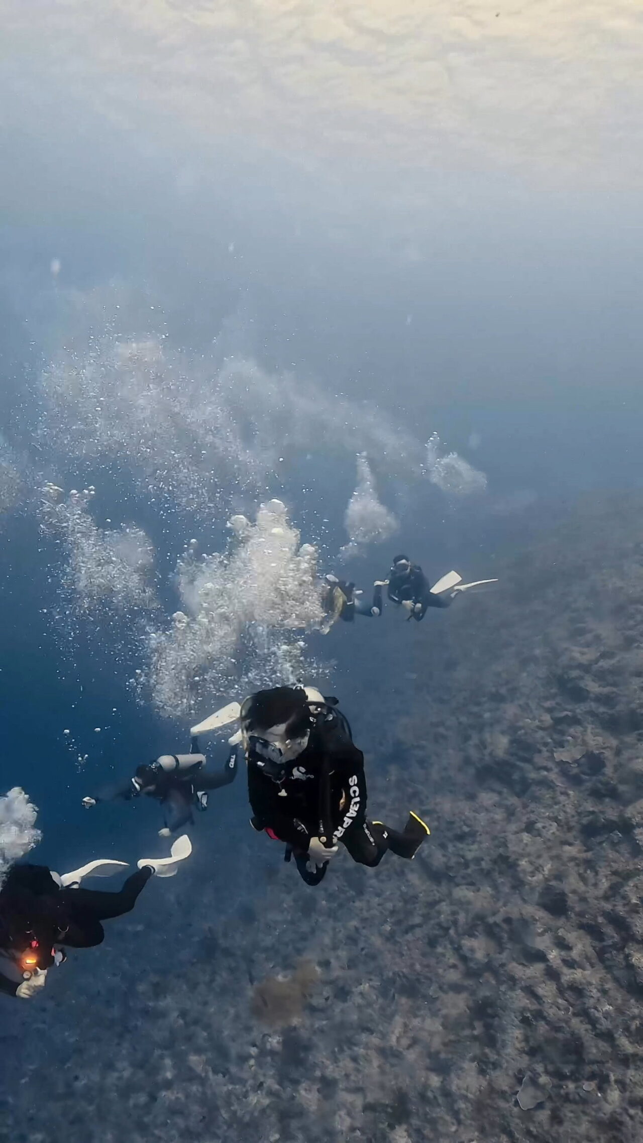 Extremely strong downcurrent 超激流ダウンカレント ペリリューコーナー ペリリューカット ペリリューエキスプレス パラオ ペリリュー島のダイビングショップ｜OMZオムズ
