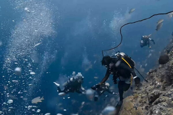 激流エキスプレス放精放卵