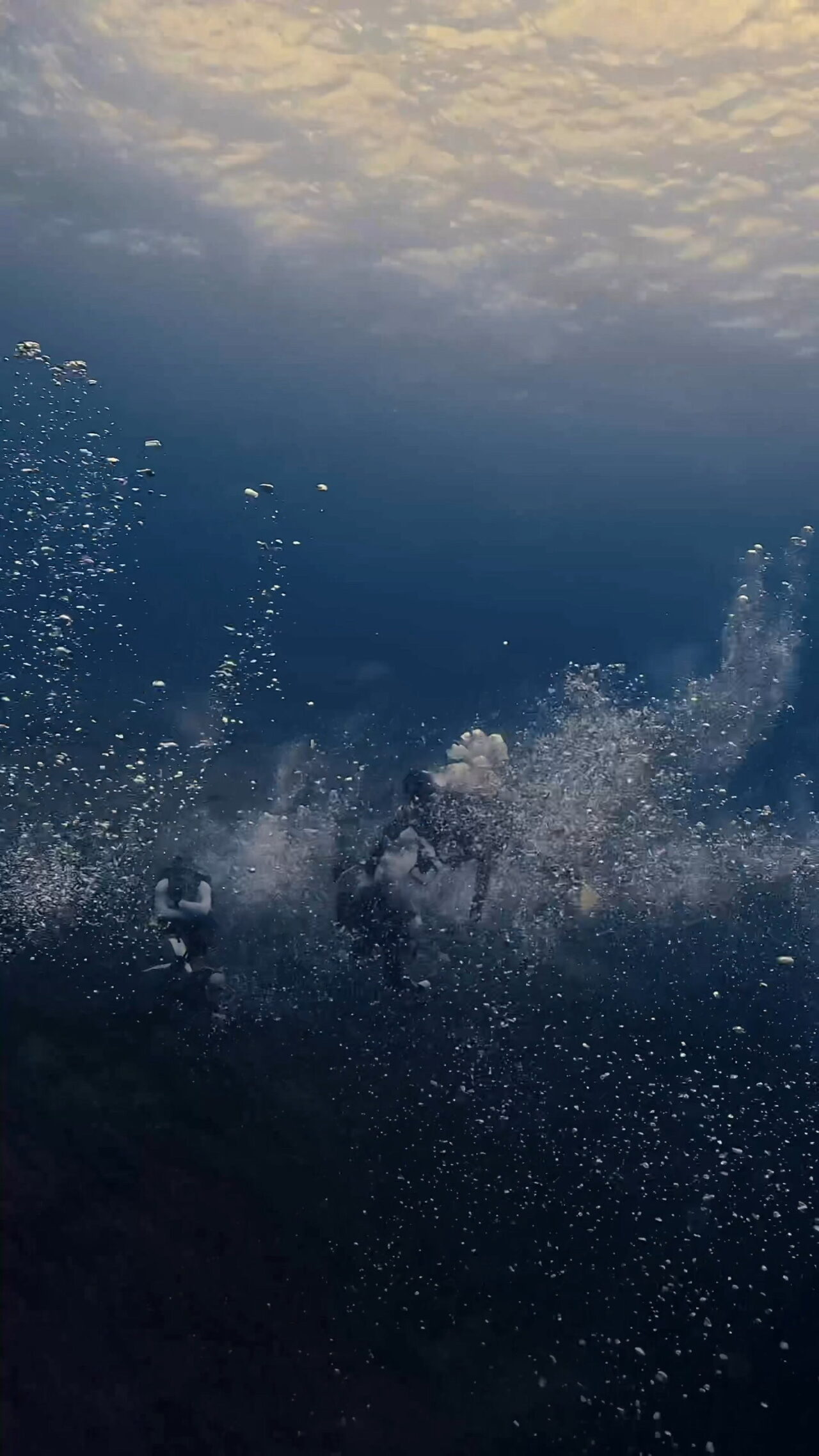 超激流とブルシャークと放精放卵 ペリリューコーナー ペリリューカット ペリリューエキスプレス パラオ ペリリュー島のダイビングショップ|OMZオムズ