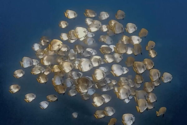 きらきらぐるぐる