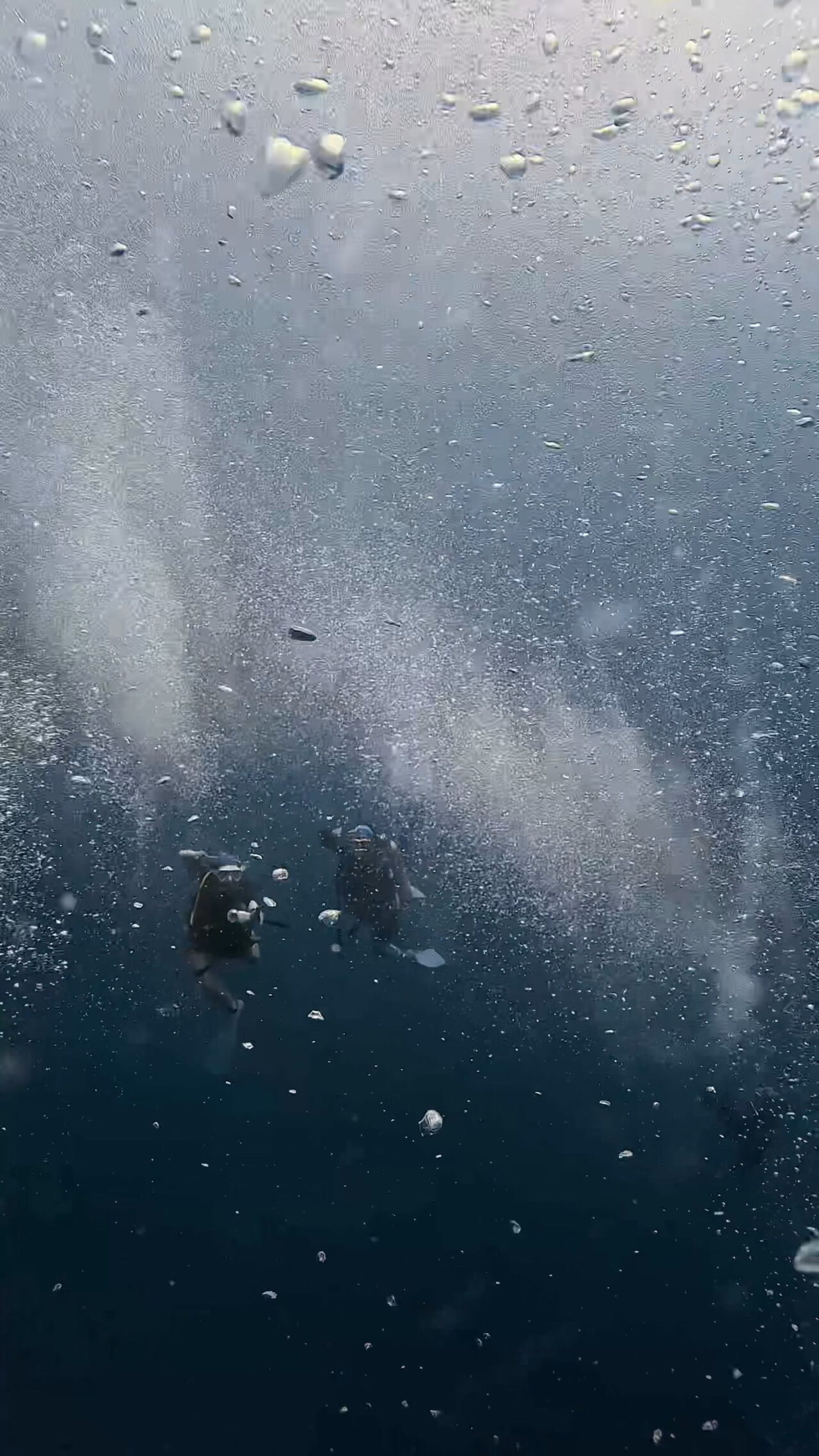 きらきら滅 ペリリューコーナー ペリリューカット ペリリューエキスプレス オレンジビーチ パラオ ペリリュー島のダイビングショップ｜OMZオムズ