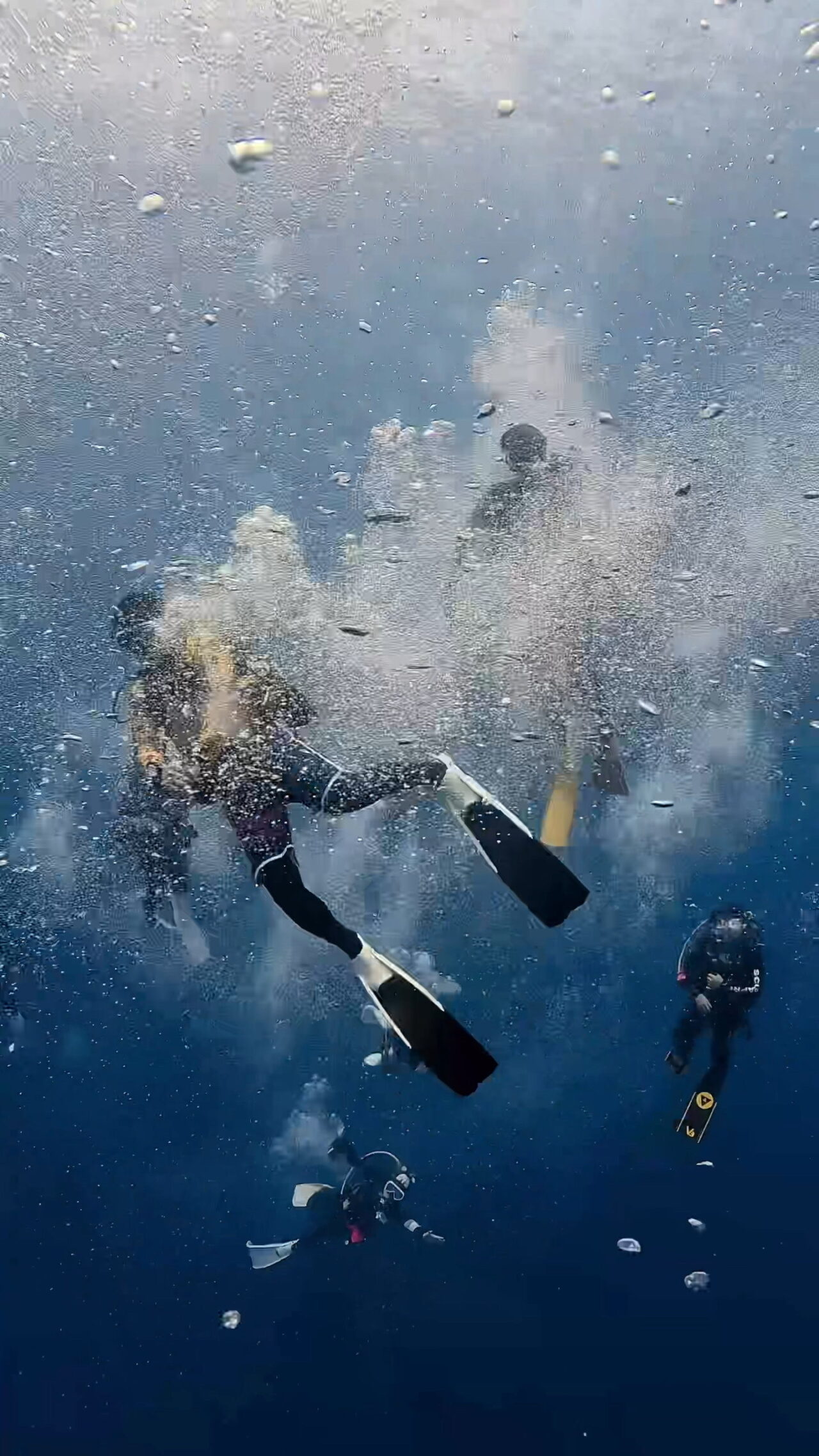 やってくるブルシャーク ペリリューコーナー ペリリューカット ペリリューエキスプレス ペリリュードロップオフ パラオ ペリリュー島のダイビングショップ｜OMZオムズ